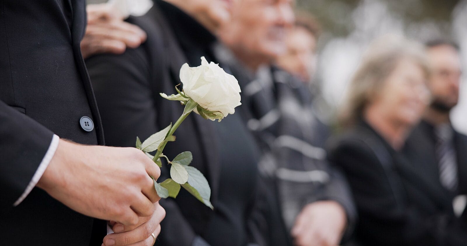 Close-up of a ​​person holding a white rose at a funeral, surrounded by mourners dressed in black.